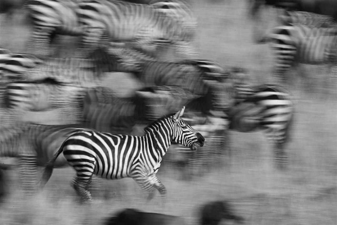 Southern Sands Eco Lodge Hoedspruit Zewnętrze zdjęcie