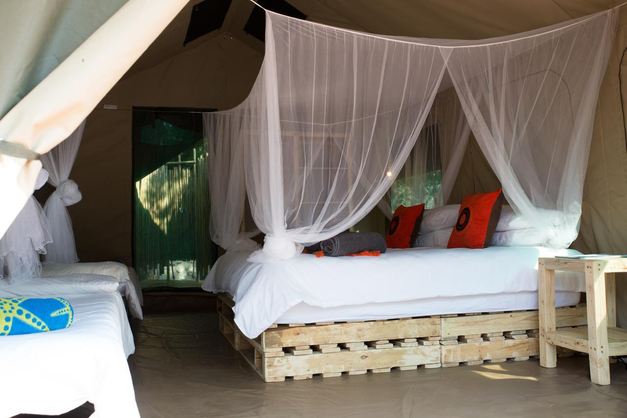 Southern Sands Eco Lodge Hoedspruit Zewnętrze zdjęcie