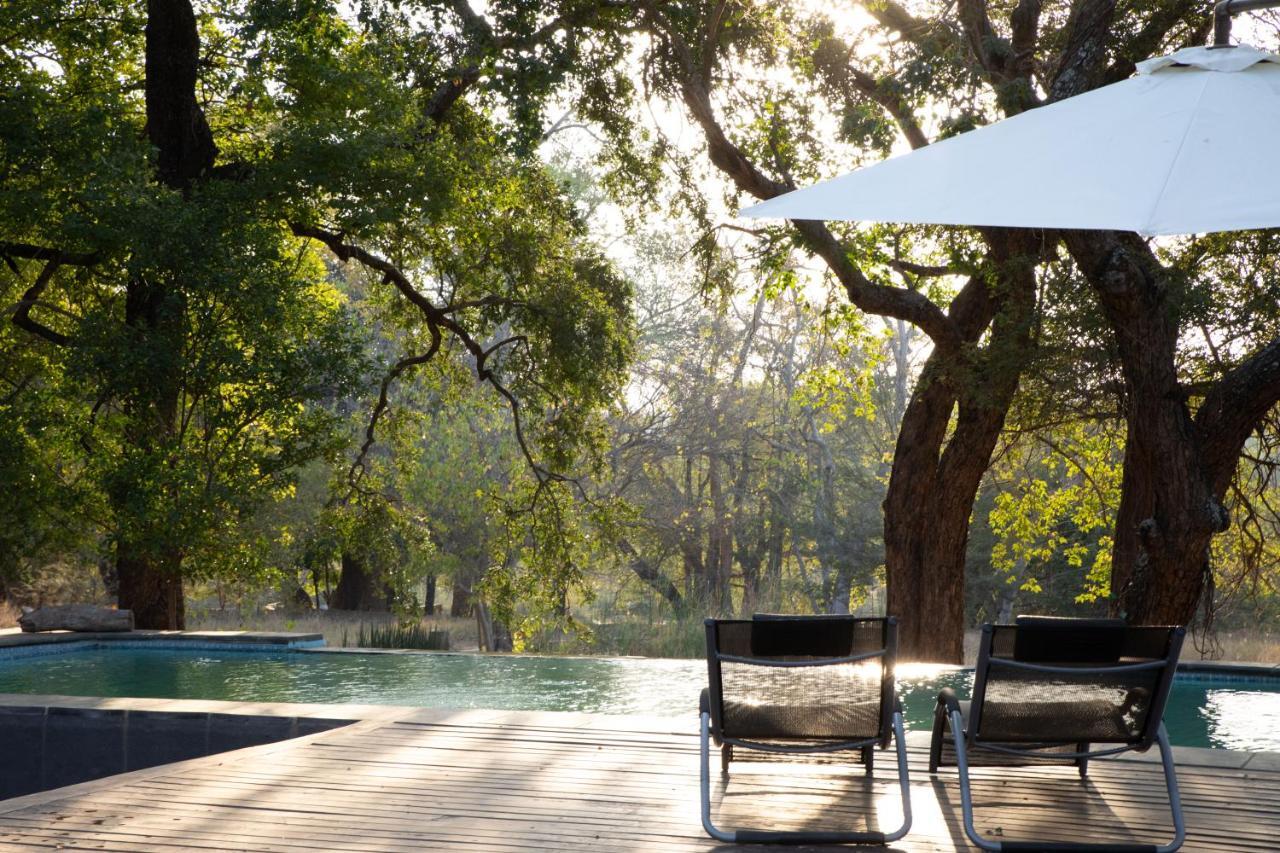 Southern Sands Eco Lodge Hoedspruit Zewnętrze zdjęcie